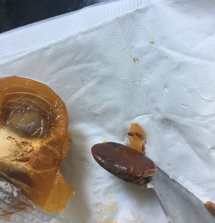cutting open a persimmon seed to predict weather