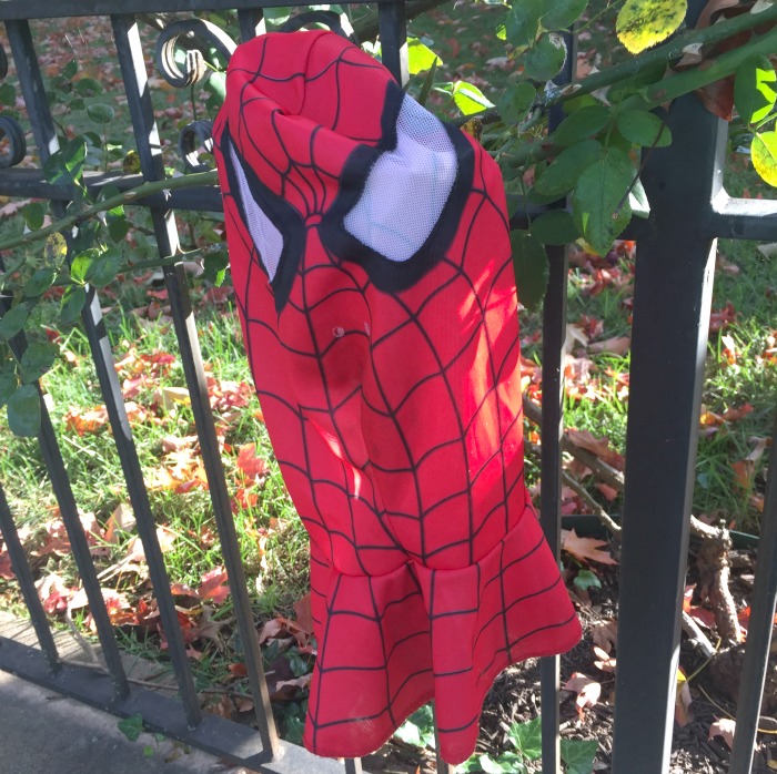 the morning after - spider man