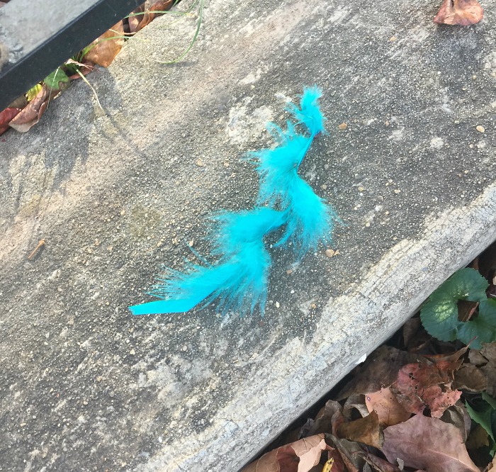 the morning after - turquoise feather