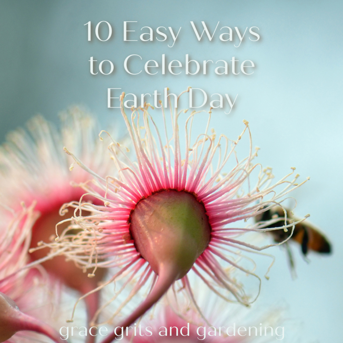10 Easy Ways to Celebrate Earth Day