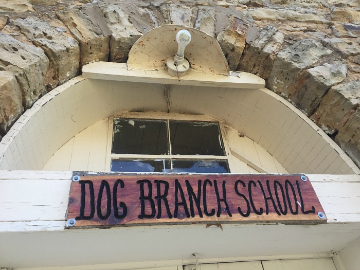 Dog Branch School