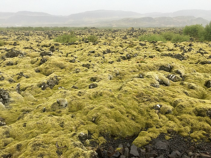 Lava fields, Iceland, Highlands area