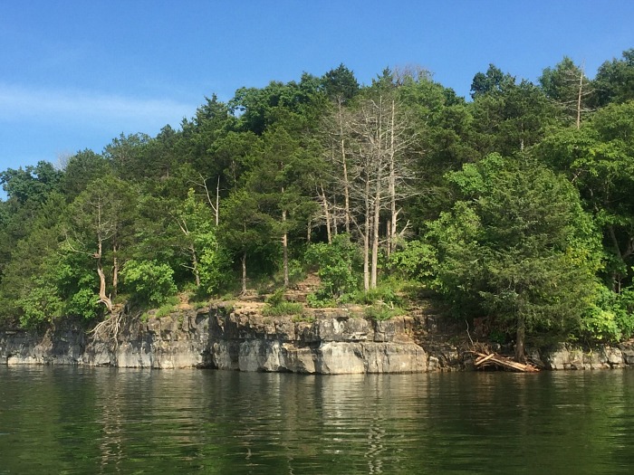 The Cliffs, Lake Norfork (high water!)