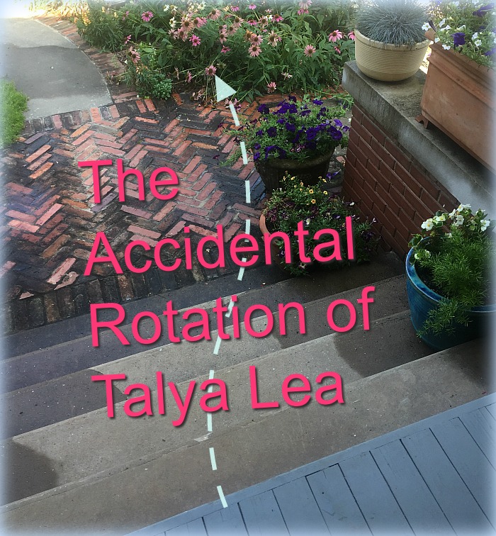 The Accidental Rotation go Talya Lea