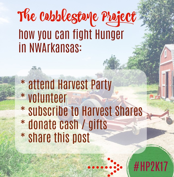 cobblestone project fights hunger
