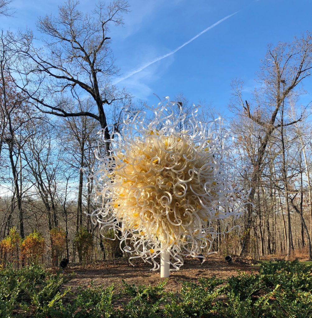 Chihuly in the Forest