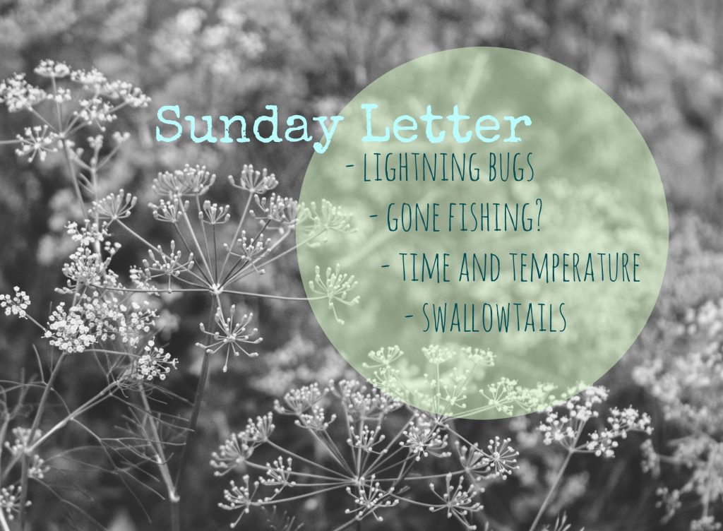 Sunday Letter 