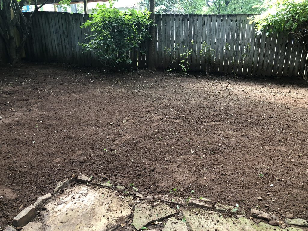 back yard project