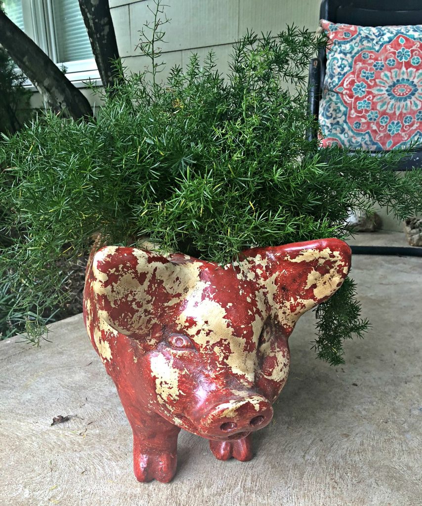 Pig on the Porch