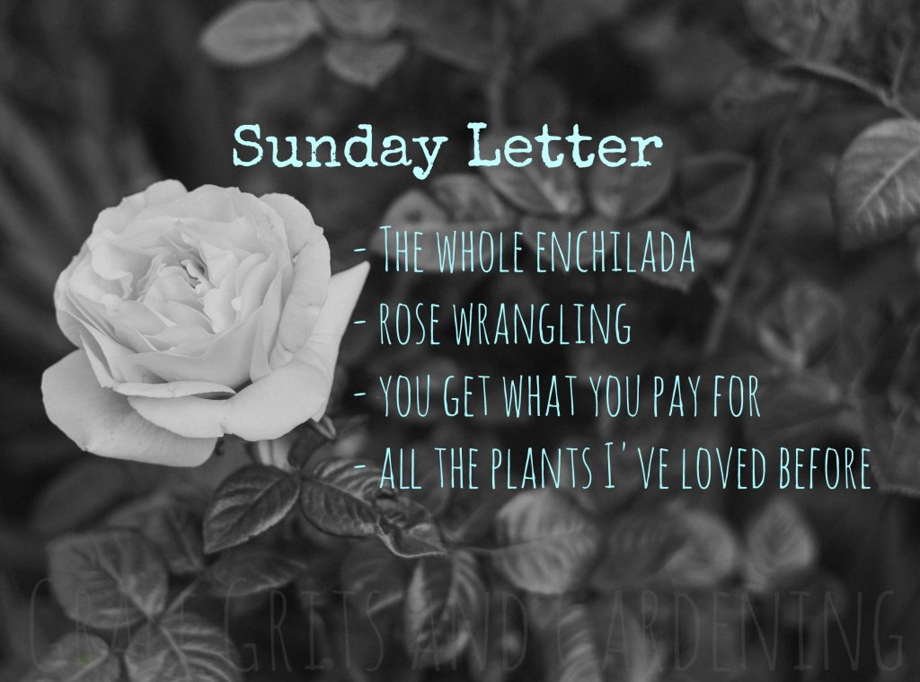 Sunday Letter 09.02.18