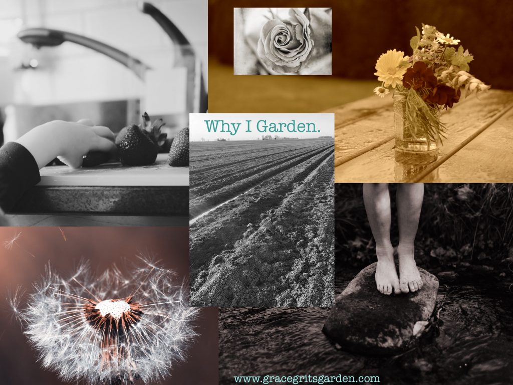 Why I Garden