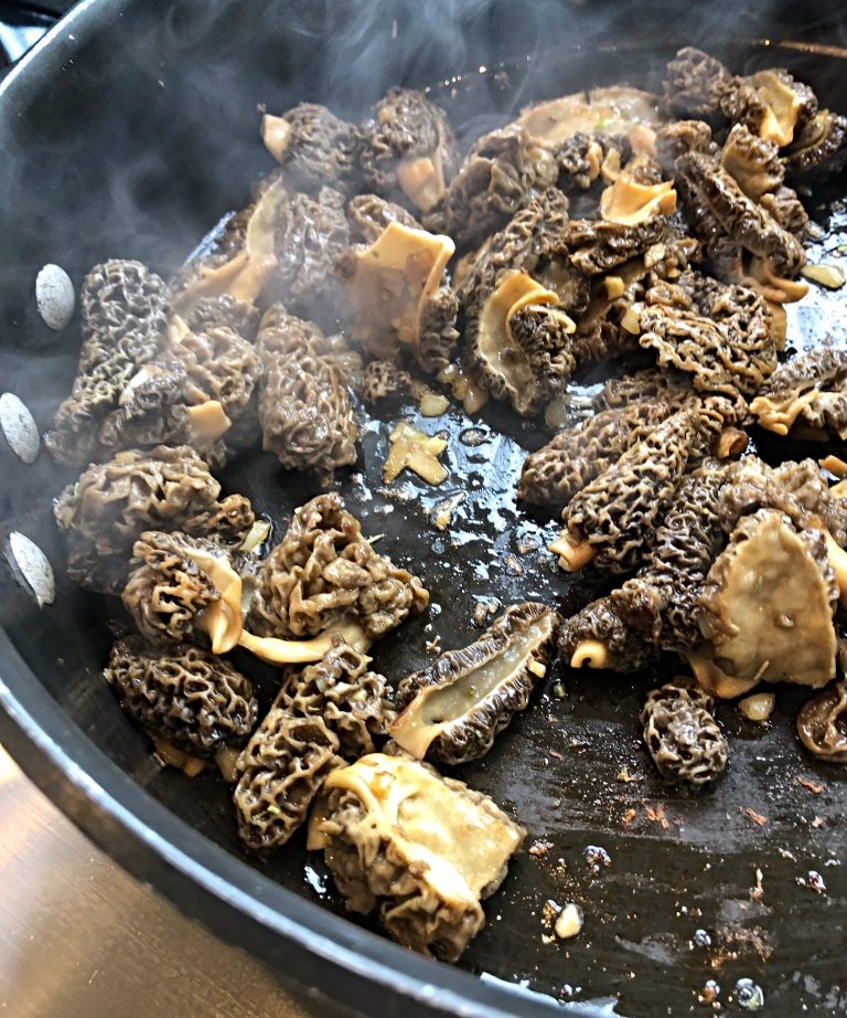 Morel Mushrooms served with Fettuccine grace grits and gardening
