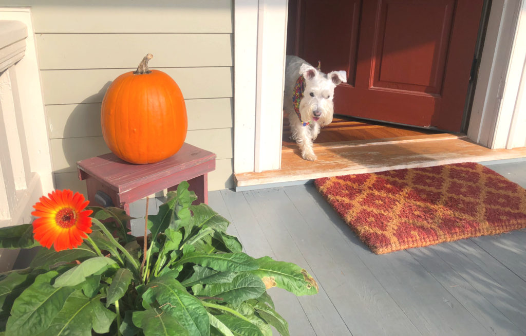 Decorating my Porch for Fall