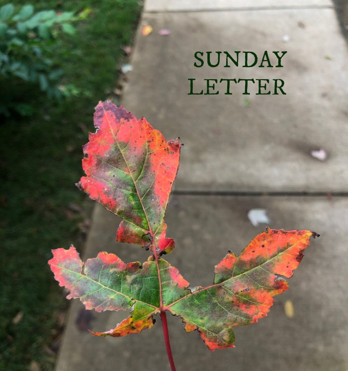 Sun-Day Letter