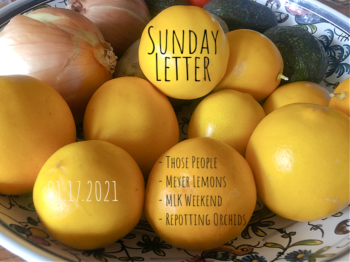 Sunday Letter 01.17.2021