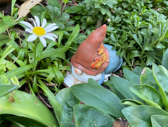 Sunday Letter: Garden Gnome