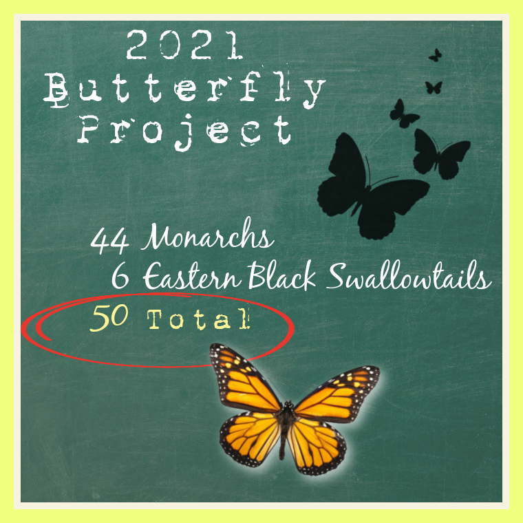 2021 Butterfly Project