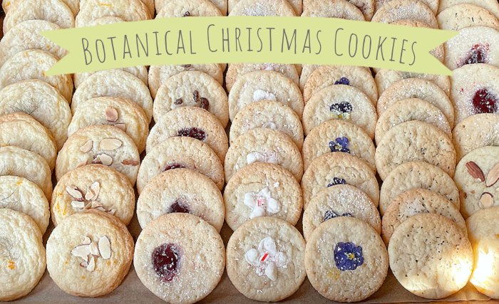 Botanical Christmas Cookies