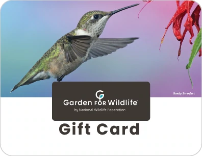 Garden for Wildlife Gift Card
