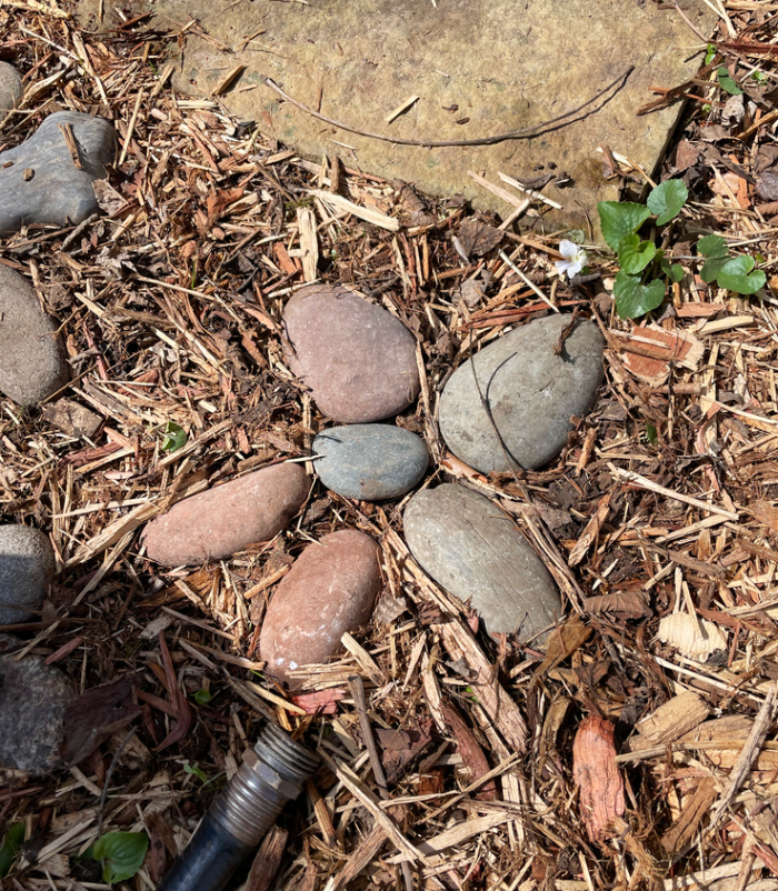 stones in garden