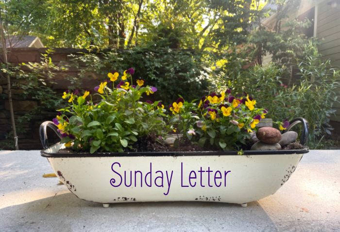 Sunday Letter