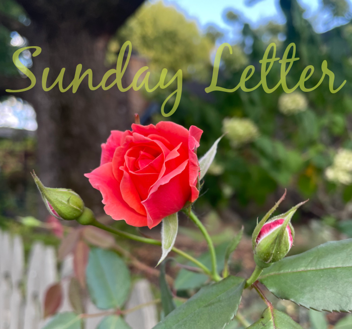 Sunday Letter