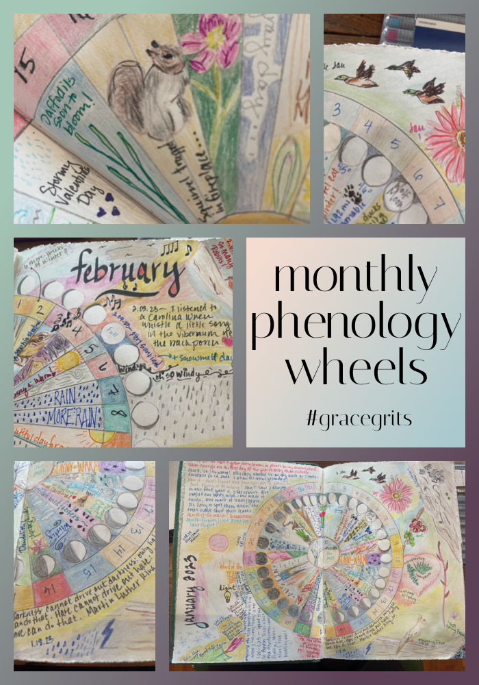 Sunday Letter - Monthly Phenology