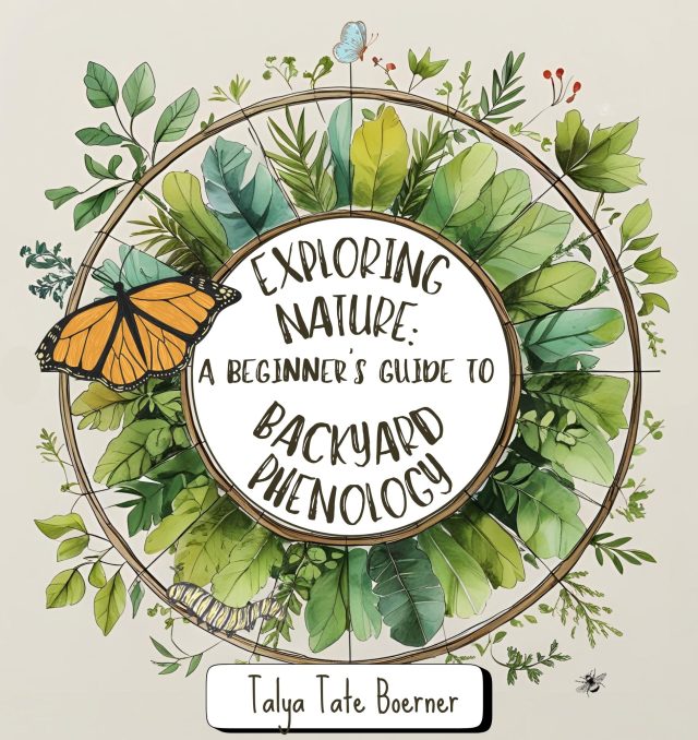 Exploring Nature: A Beginner's Guide to Backyard Phenology