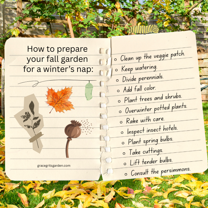 Sunday Letter: Fall Garden