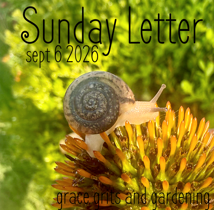 Sunday Letter